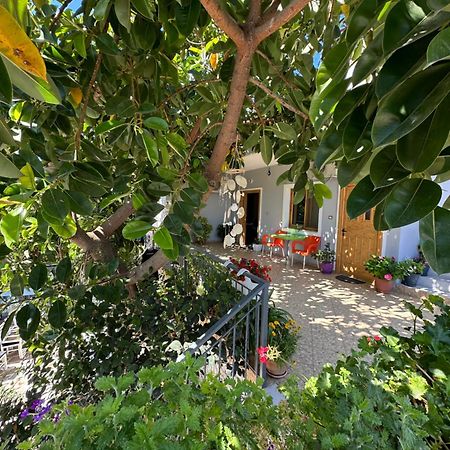 Albi'S Guesthouse 卡萨米尔 外观 照片