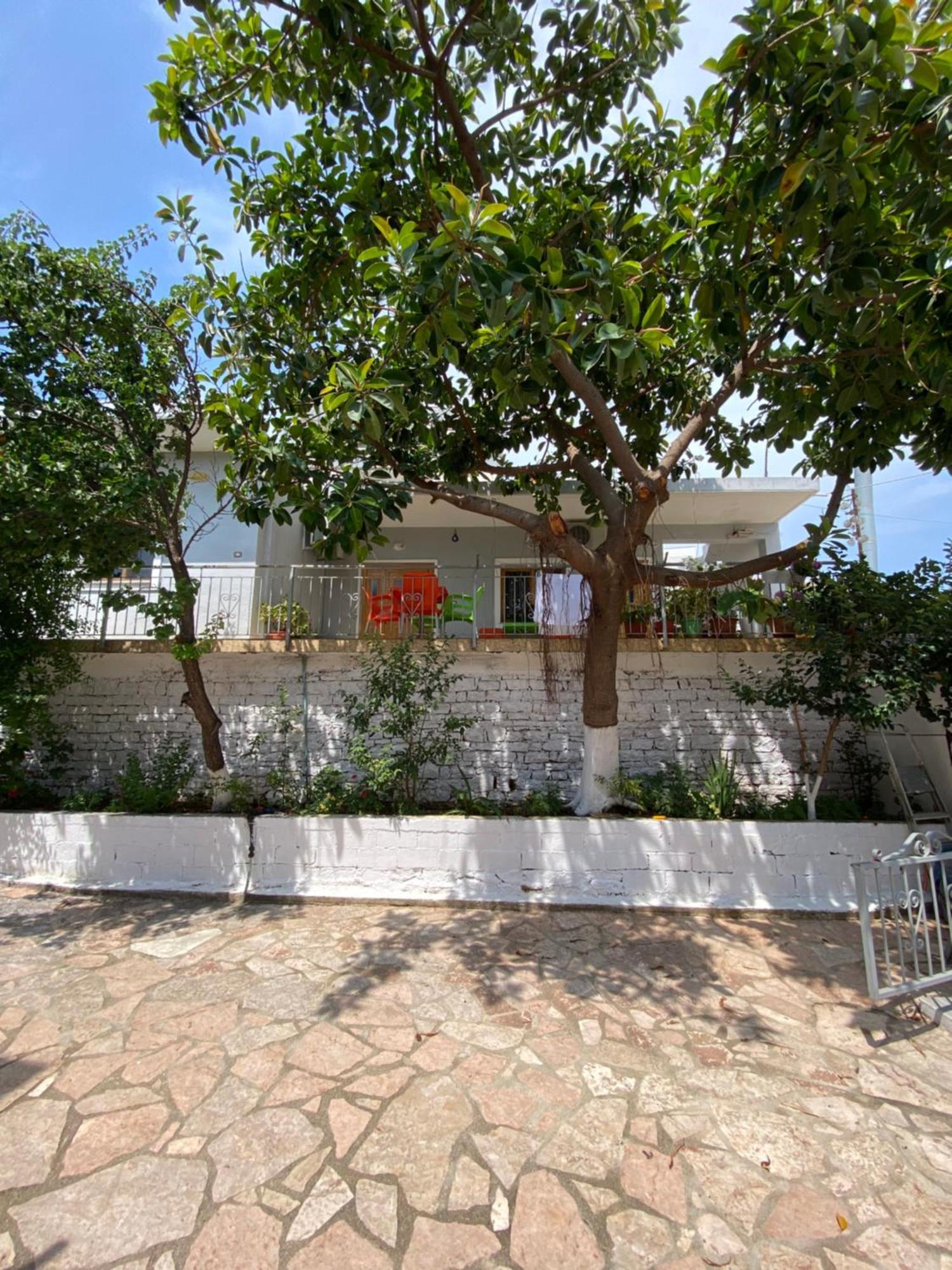 Albi'S Guesthouse 卡萨米尔 外观 照片