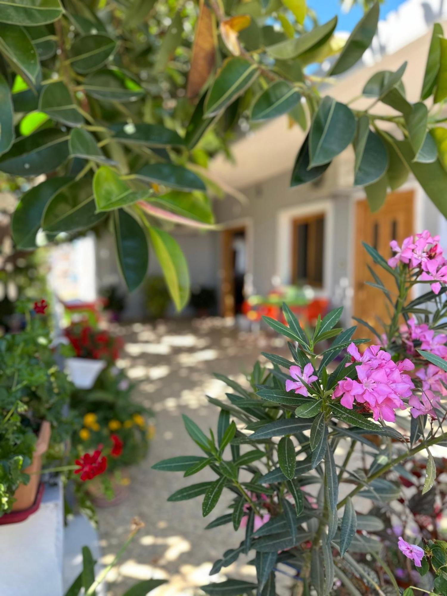 Albi'S Guesthouse 卡萨米尔 外观 照片
