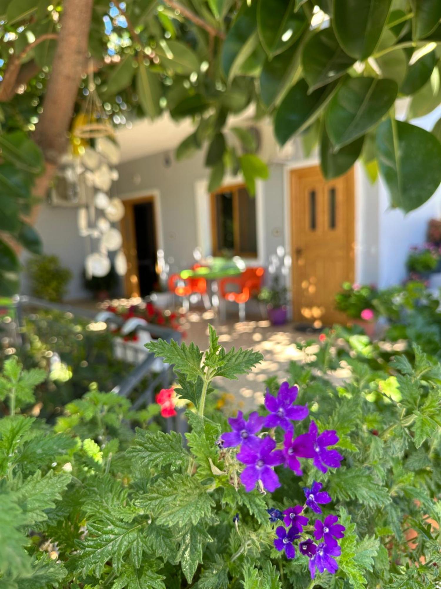Albi'S Guesthouse 卡萨米尔 外观 照片