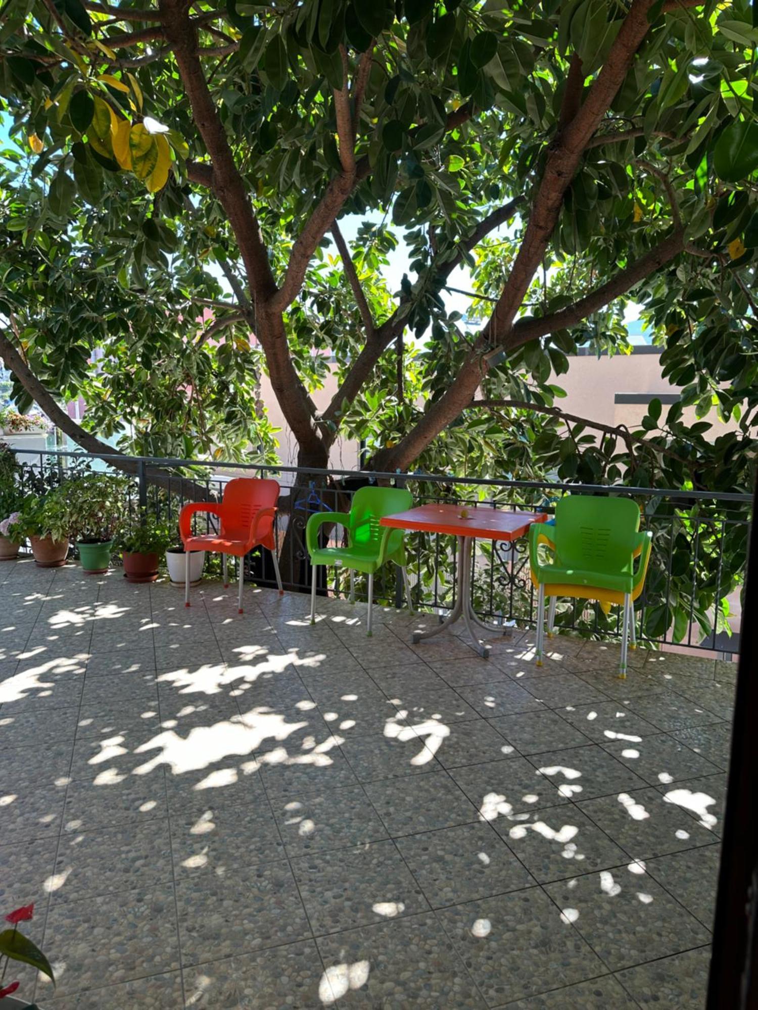 Albi'S Guesthouse 卡萨米尔 外观 照片