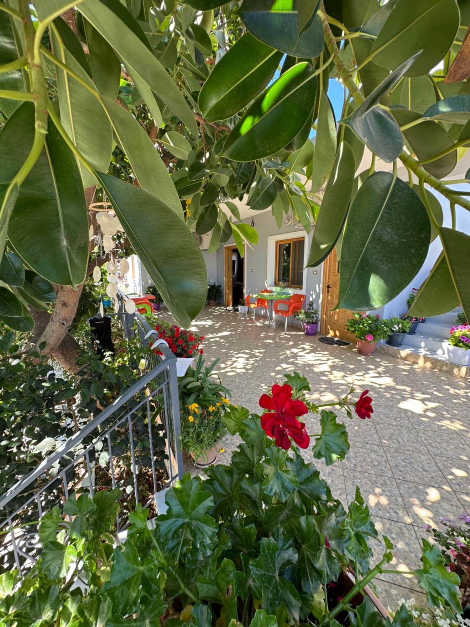 Albi'S Guesthouse 卡萨米尔 外观 照片
