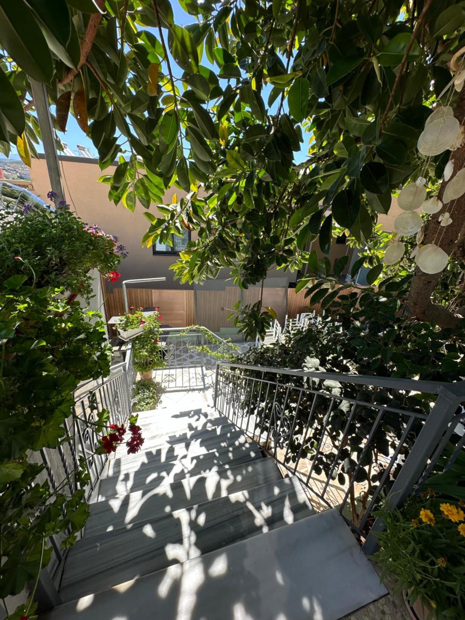Albi'S Guesthouse 卡萨米尔 外观 照片